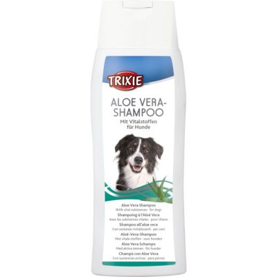Šampon aloe vera 250 ml