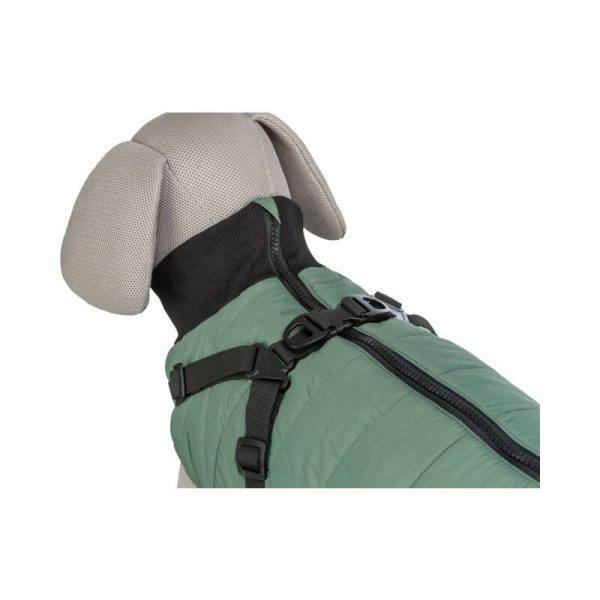 Odelce pontis sa amom S 33 cm maslinasto